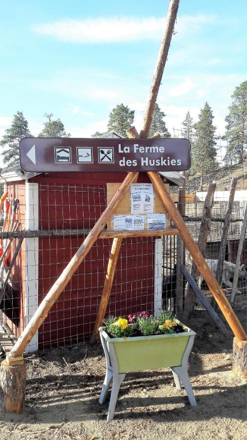 Cabin At Huskies Farm إيناري المظهر الخارجي الصورة