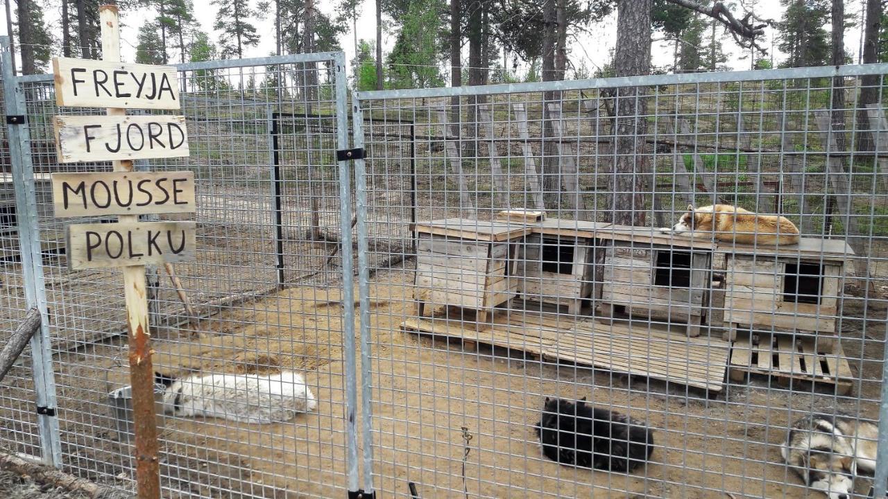 Cabin At Huskies Farm إيناري المظهر الخارجي الصورة