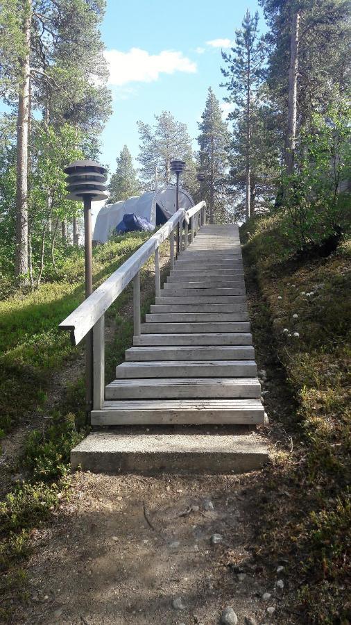 Cabin At Huskies Farm إيناري المظهر الخارجي الصورة